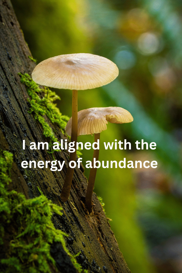 manifestation wallpaper